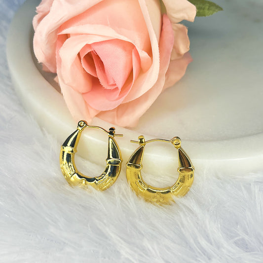 Stainless Steel Anti Tarnish Hoops Earring